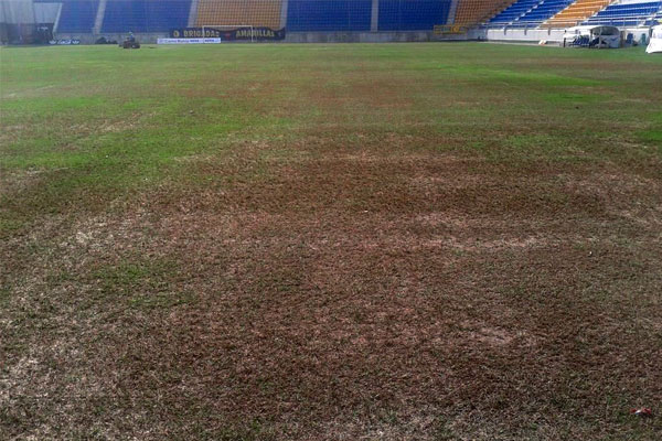 El césped del Ramón de Carranza, más marrón que verde (Foto: Twitter/RubenLopez07)