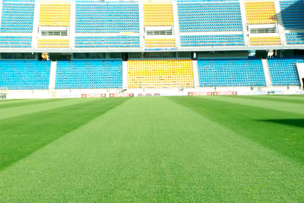 Estado actual del césped del Ramón de Carranza / foto: cadizcf.com