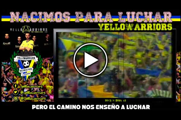 yellowarriors nacimosparaluchar