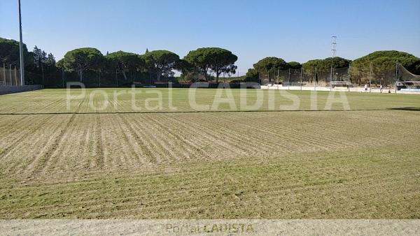 El campo Macarty de El Rosal con la nueva siembra / Trekant Media